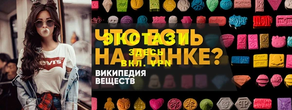 индика Алексин