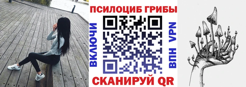 наркошоп  Жердевка  Псилоцибиновые грибы ЛСД 